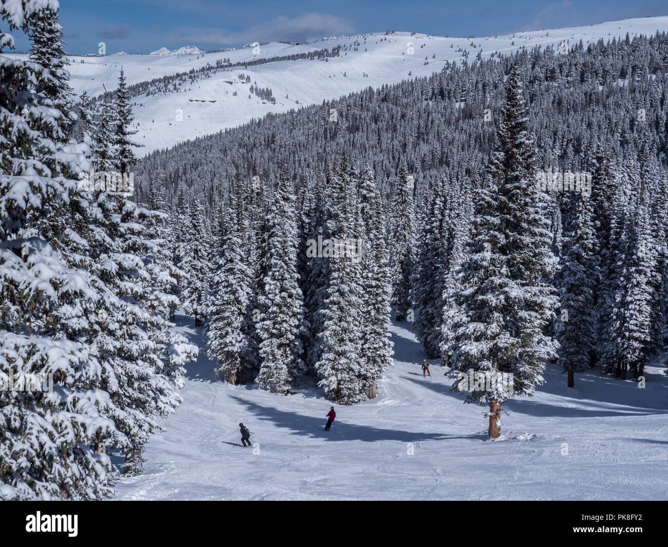 Big Rock Park Trail, hiver, Blue Sky Basin, Station de Ski de Vail, Vail, Colorado. Banque D'Images