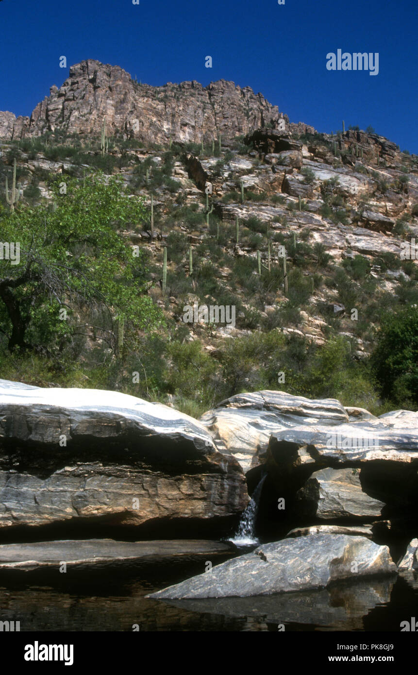 TUCSON, Arizona - 24 SEPTEMBRE : (exclusif) une vue générale de l'atmosphère de Sabino Canyon au cours de Stephen Baldwin pousse de photo Le 24 septembre 1992 à Tucson, Arizona. Photo de Barry King/Alamy Stock Photo Banque D'Images