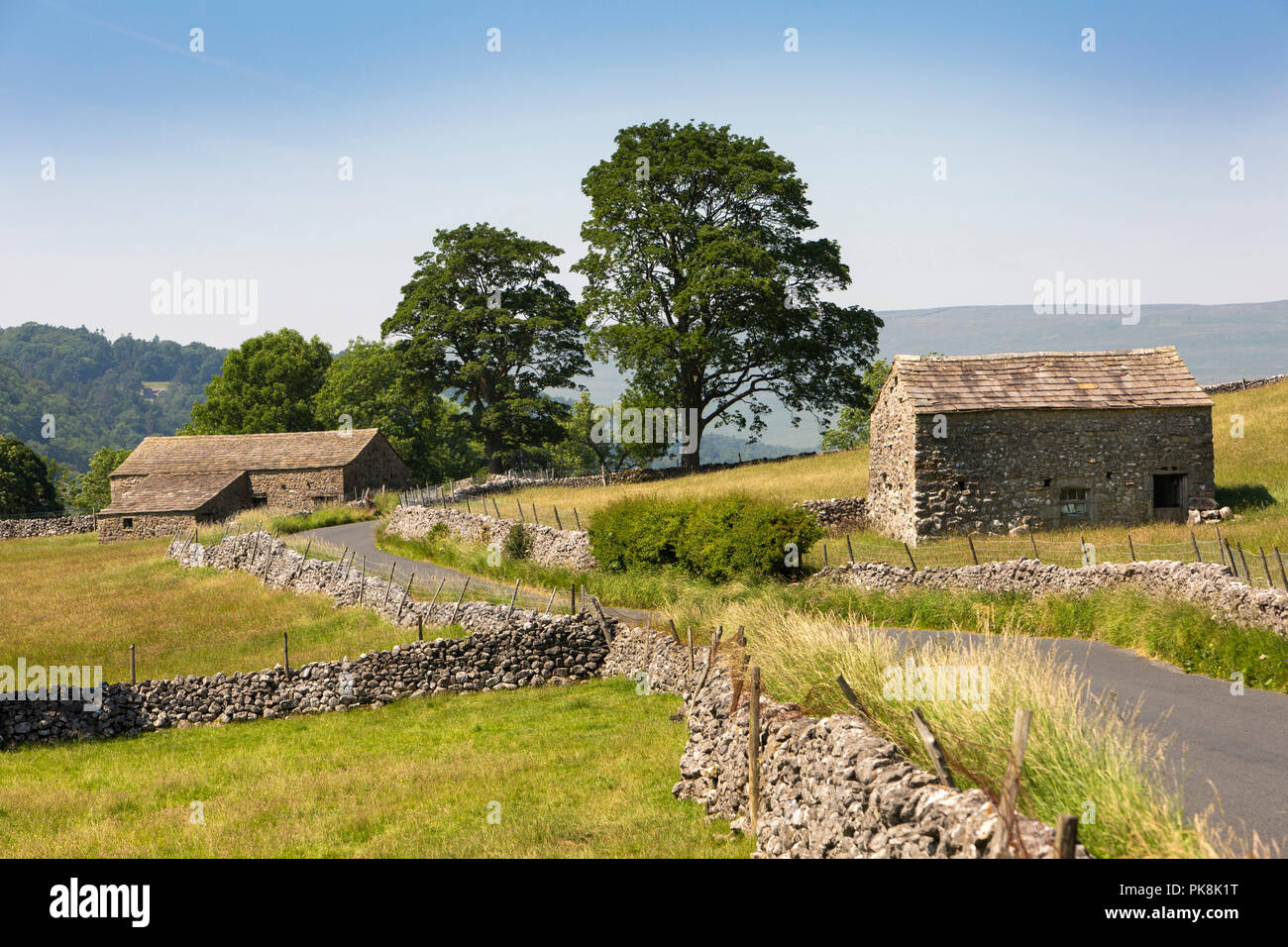 UK, Yorkshire, Wharfedale, Kettlewell, domaine agricole de pierre à côté des granges B6160 Route de la région de Wharfedale Banque D'Images