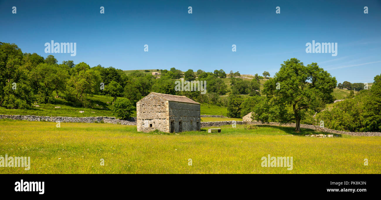 UK, Yorkshire, Wharfedale, Hubberholme, de l'agriculture, domaine traditionnel en pierre grange dans hay meadow, vue panoramique Banque D'Images