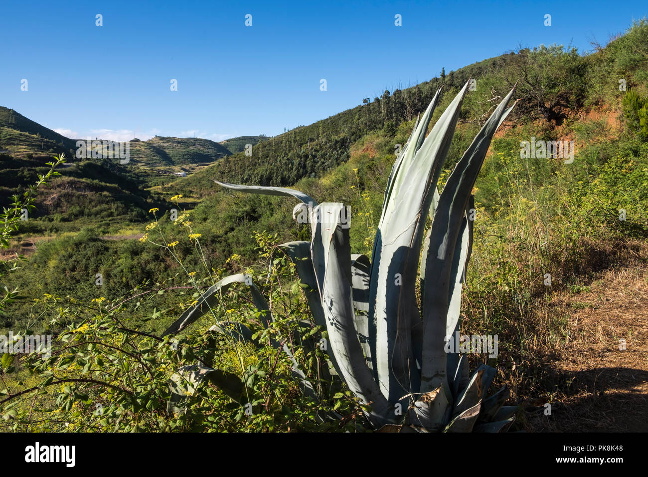 Vues sur les étangs à Erjos à partir d'une balade à vélo sur la crête au-dessus, Teno, Tenerife, Canaries, Espagne Banque D'Images