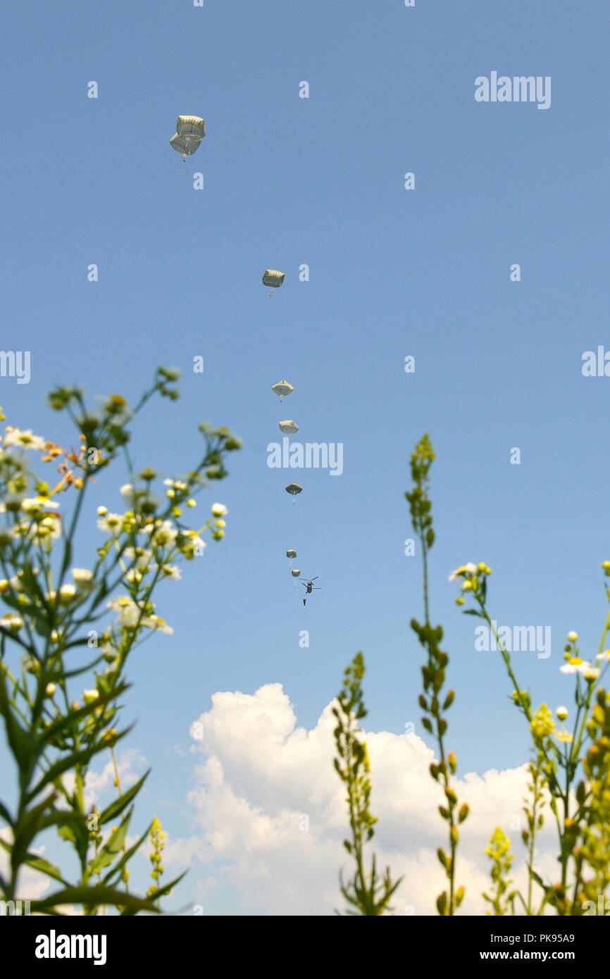 Les parachutistes de l'armée américaine, affecté au 2e bataillon du 503e Régiment d'infanterie, 173e Brigade aéroportée, sortie d'un 12e Brigade d'aviation de combat hélicoptère CH-47 Chinook sur Juliet, Pordenone, Italie, le 22 août 2018, 22 août 2018. La 173e Brigade aéroportée de l'armée américaine est la force de réaction d'urgence en Europe, capables de projeter des forces n'importe où aux États-Unis, d'Europe centrale ou de l'Afrique des commandes de domaines de responsabilité. (U.S. Photo de l'armée par Paolo Bovo). () Banque D'Images