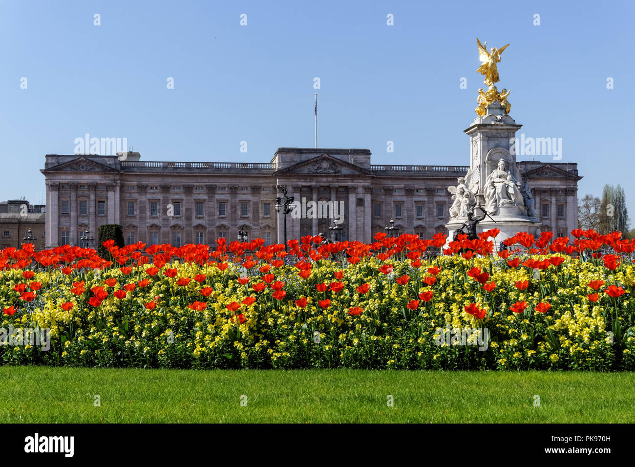 Le palais de Buckingham avec Mémorial Victoria à Londres, Angleterre Royaume-Uni UK Banque D'Images