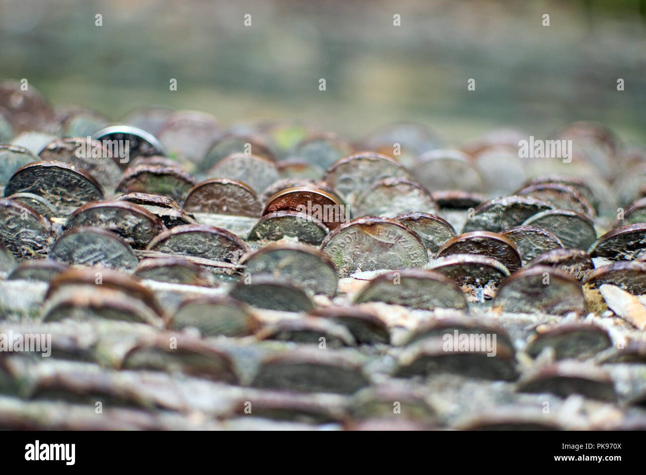 Pièces de monnaie dans un Arbre Arbre des désirs - Nectans St Glen Cornwall, UK Banque D'Images