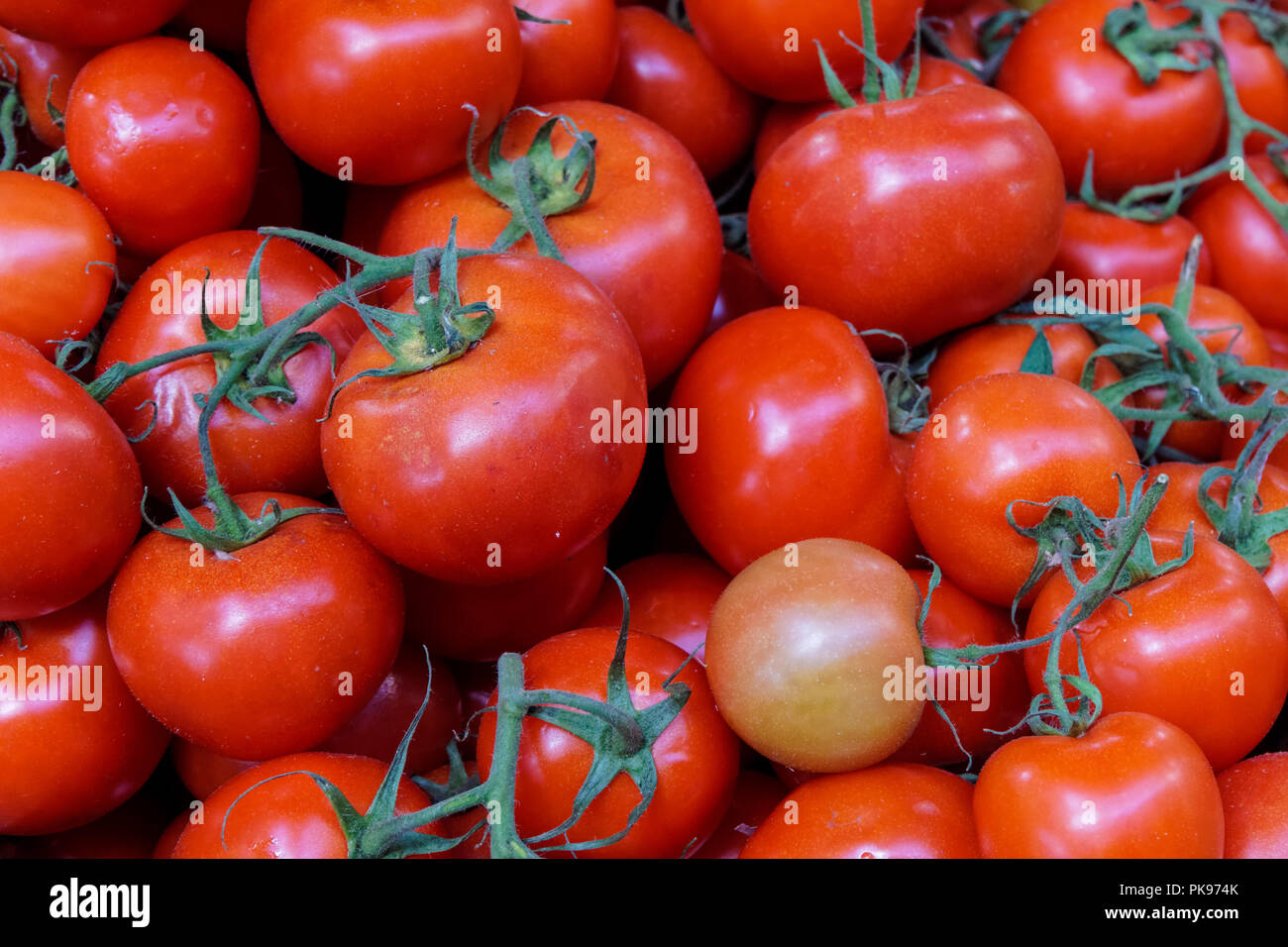 Tomates mûres fraîches au marché local Banque D'Images