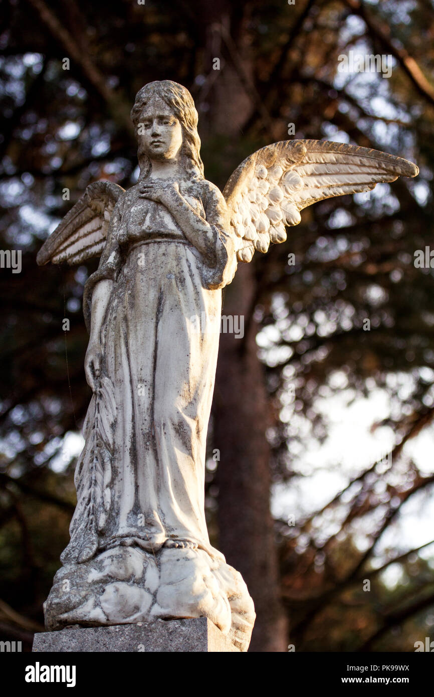 Belle statue en pierre de l'ange dans le vieux cimetière avec un  environnement naturel dans l'arrière-plan. Vieux cimetière avec des pierres  tombales des statues. Sculpture l'art Photo Stock - Alamy