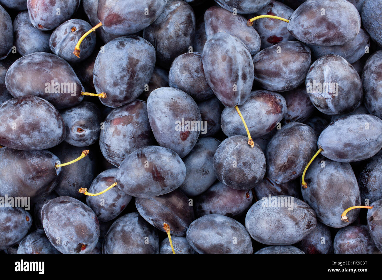 Texture de fond prune bleu Banque D'Images