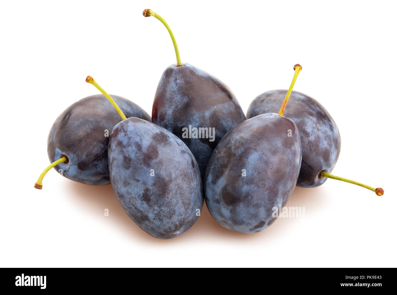 Prune bleu isolé chemin Banque D'Images