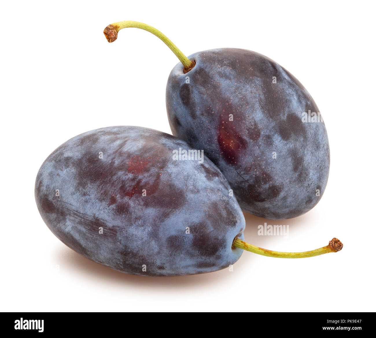 Prune bleu isolé chemin Banque D'Images