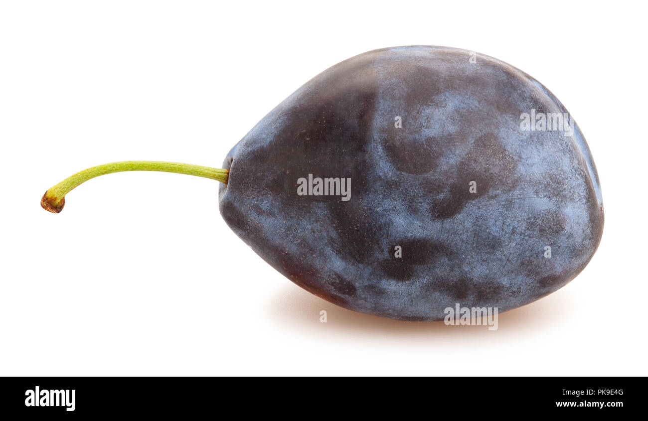 Prune bleu isolé chemin Banque D'Images