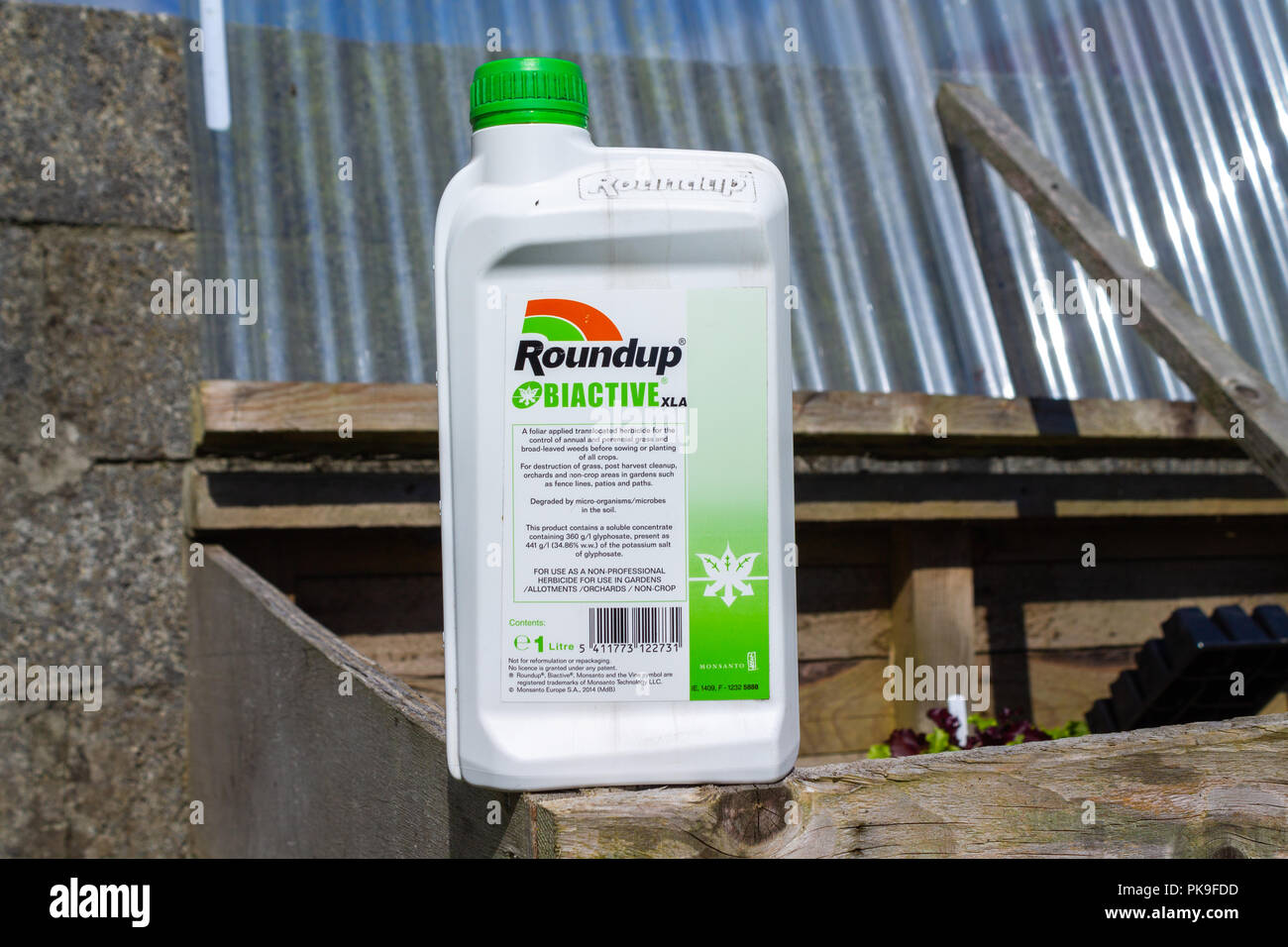Ou le glyphosate Roundup Herbicide Herbicide concentré ou dans une bouteille de plastique Banque D'Images