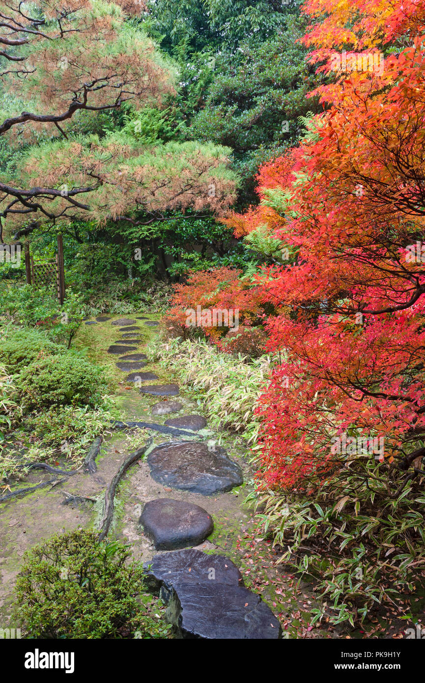 Temple Daitoku-ji, Kyoto, Japon. Feuillage d'automne dans le jardin de Koto-in temple zen Banque D'Images