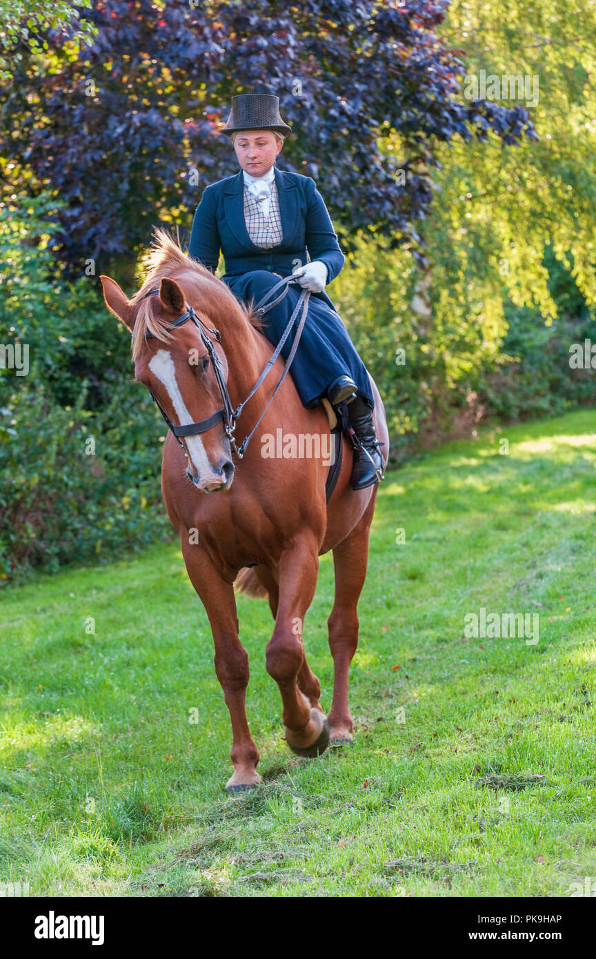 Une jeune femme elegent équitation dans un traditionnel sur le côté portant haut de forme et voile intégral Banque D'Images