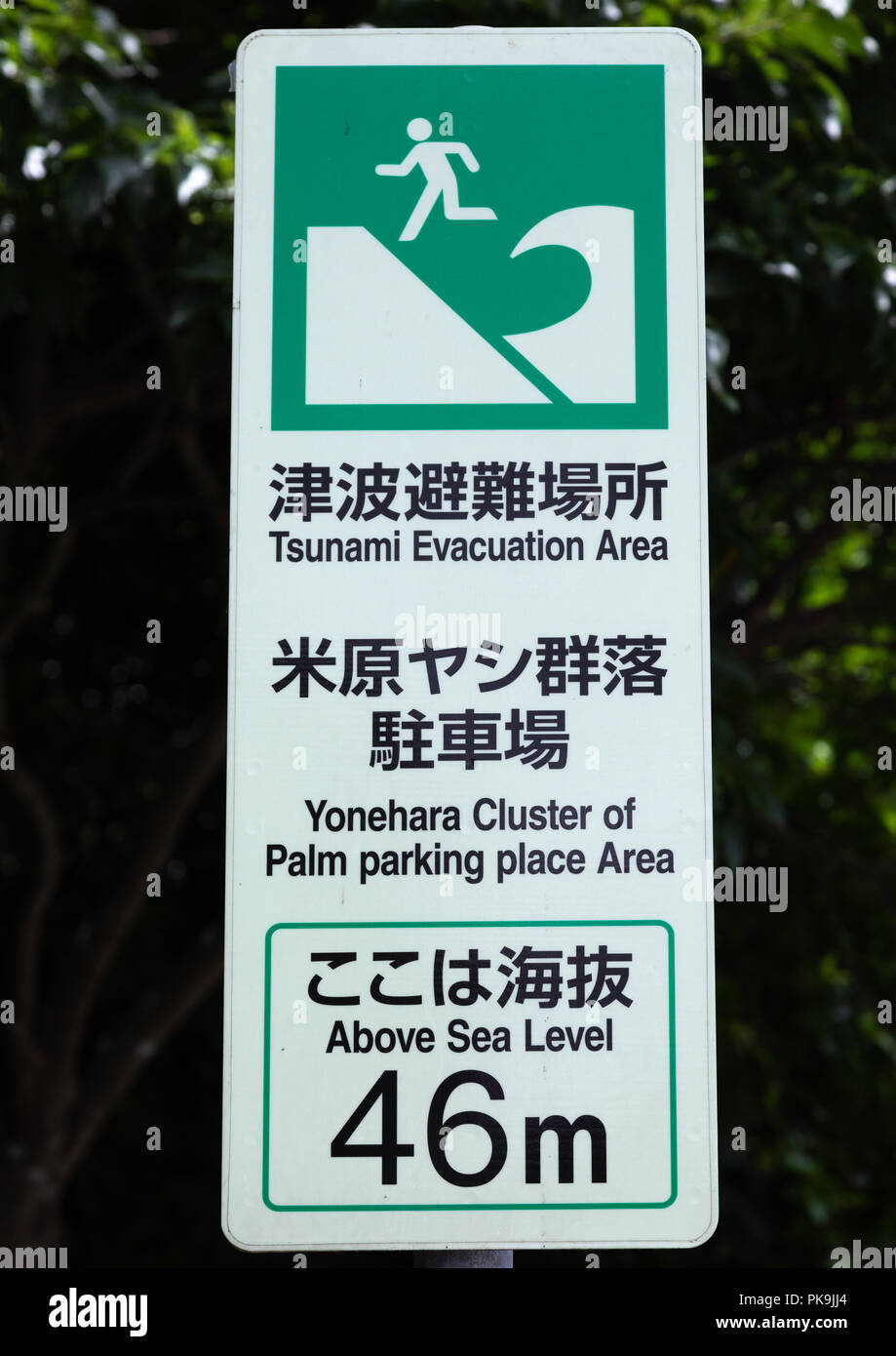 Avec le niveau de la mer pour la prévention des catastrophes, tsunami, Îles Yaeyama Ishigaki-jima, Japon Banque D'Images