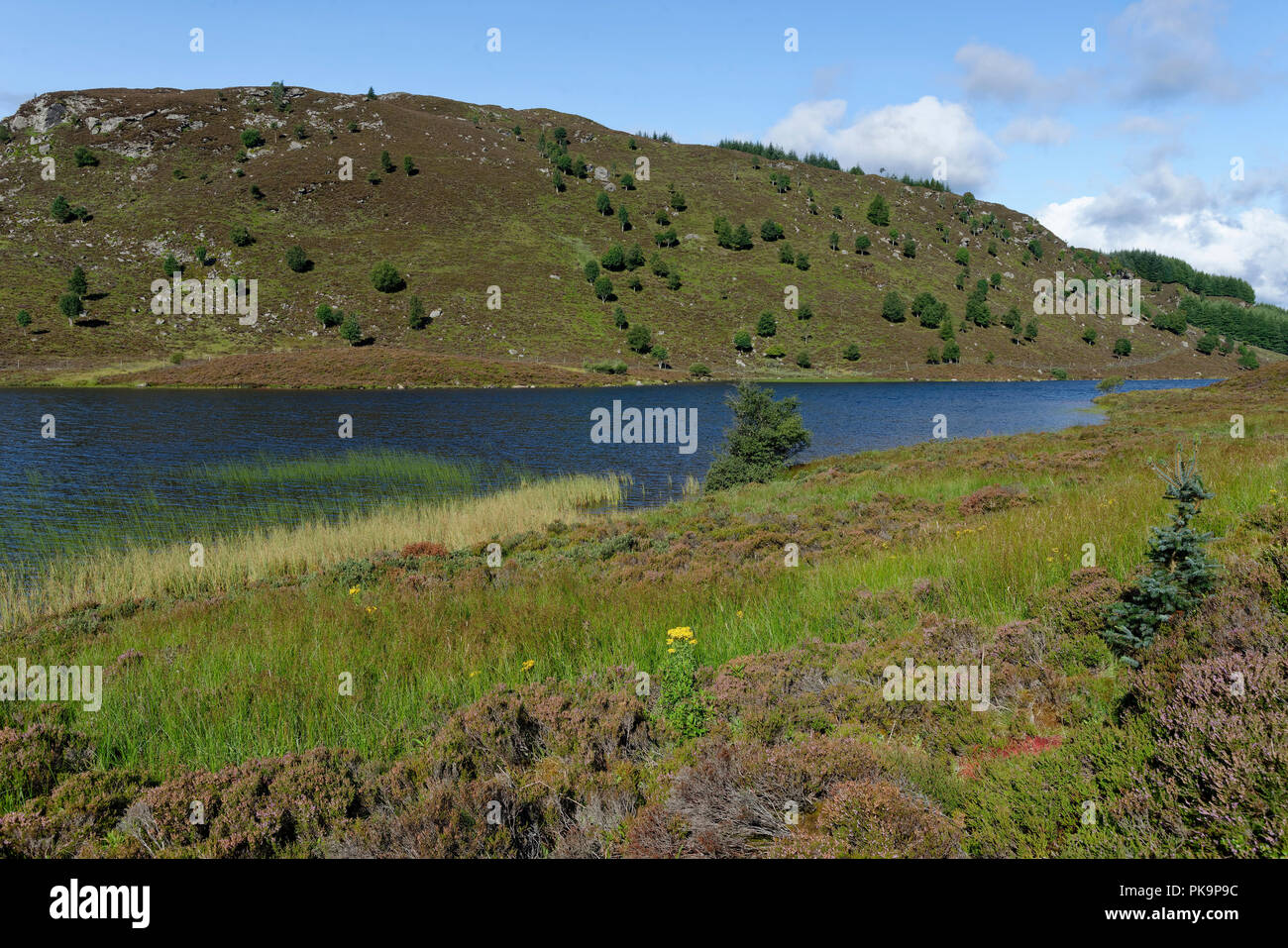 Loch une Cochill Craige, Glen près de Aberfeldy, Perth et Kinross, Scotland Banque D'Images