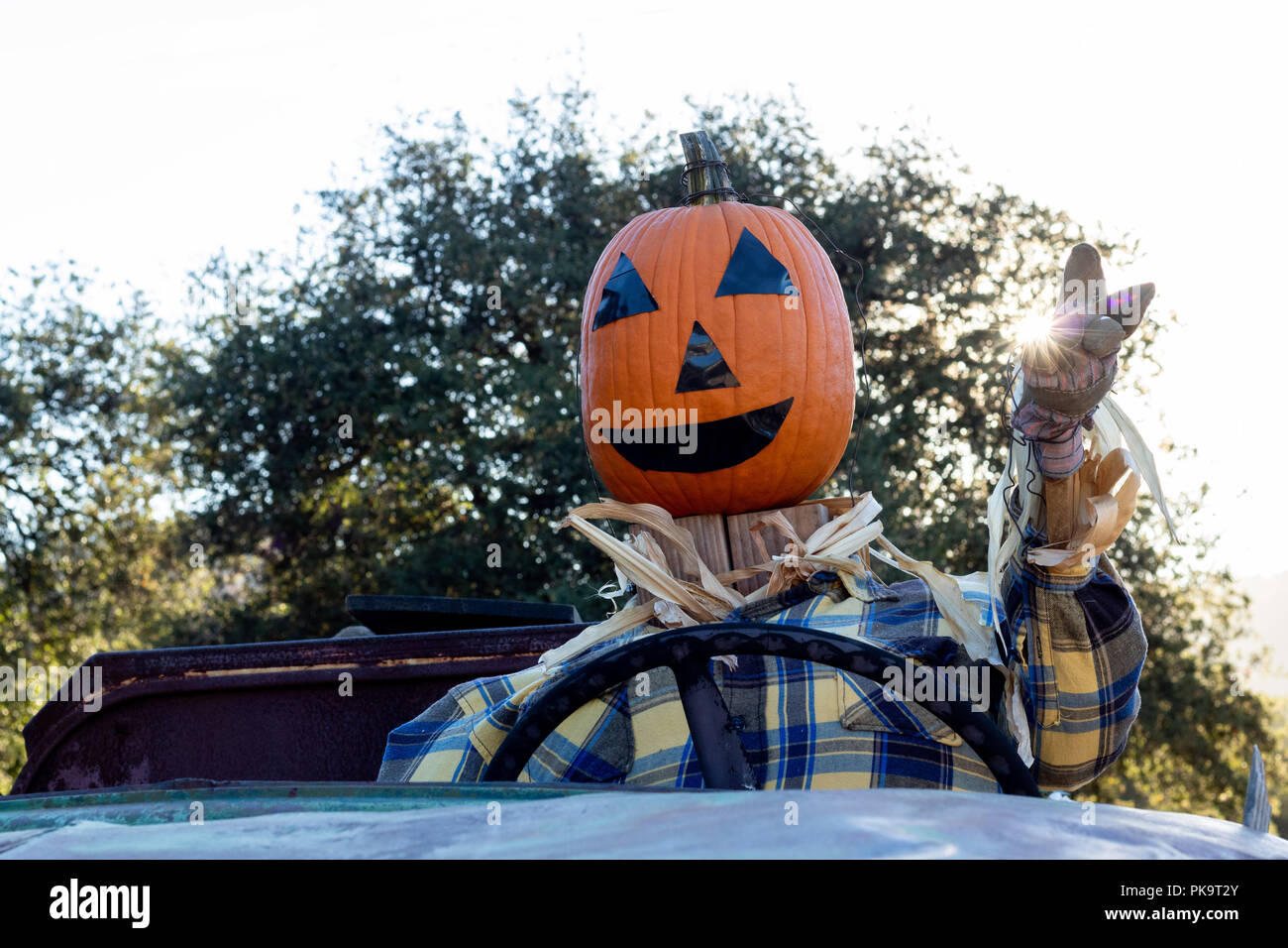 Close-up of smiling, heureux, accueillants, fun friendly tête de citrouille épouvantail conduisant un vieux camion à une partie de la récolte d'halloween Banque D'Images