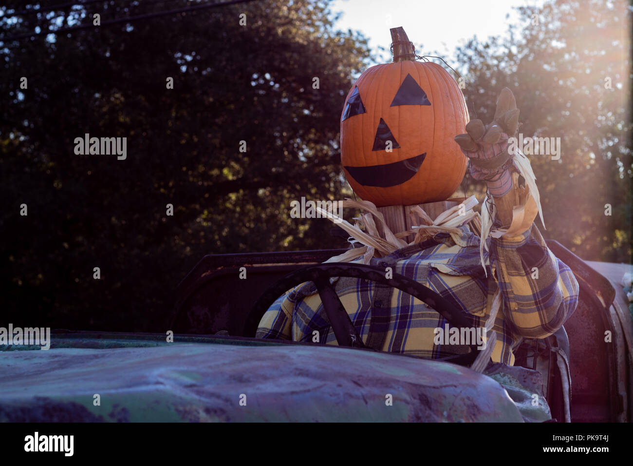 Close-up of smiling, heureux, accueillants, fun friendly tête de citrouille épouvantail conduisant un vieux camion à une partie de la récolte d'halloween Banque D'Images