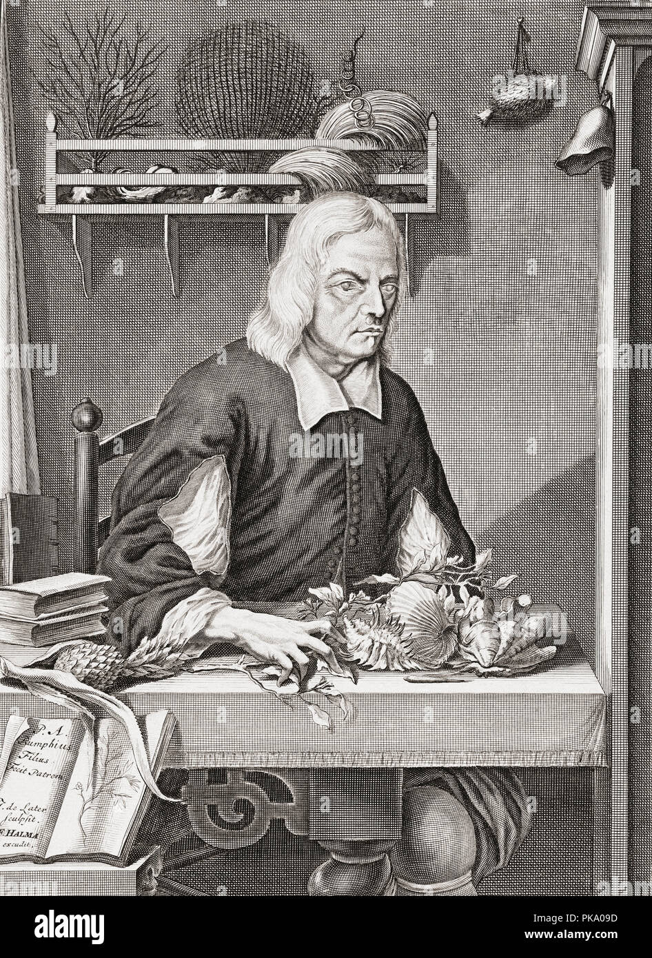 Georg Eberhard Rumphius, 1627 - 1702. Le botaniste d'origine allemande, employé par la Dutch East India Company. Auteur d'Herbarium Amboinense. Après un portrait par son fils Paul Auguste Rumphius. Banque D'Images