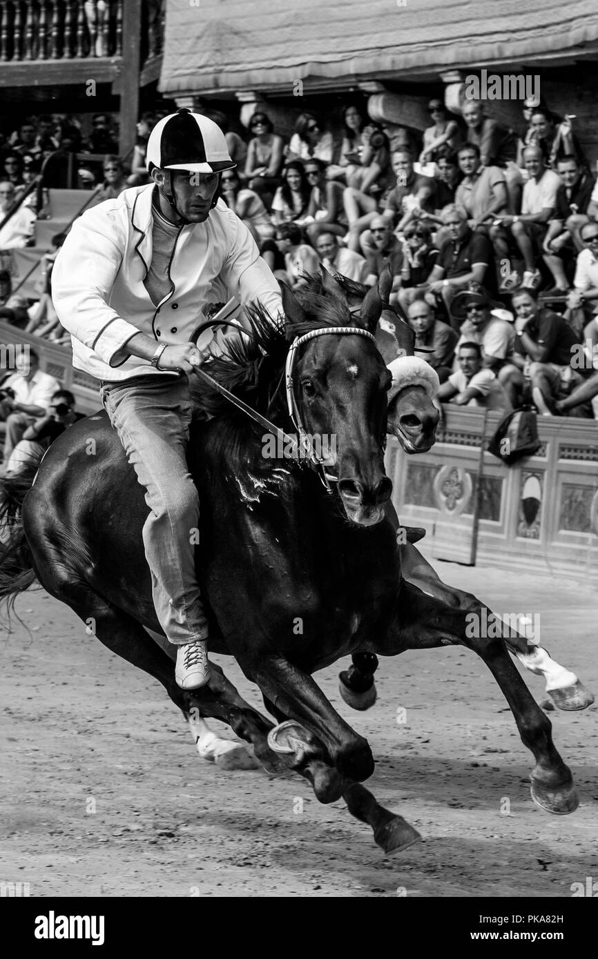 Jockeys locaux Tester les chevaux qui s'exécute dans le Palio di Siena, Sienne, Italie Banque D'Images