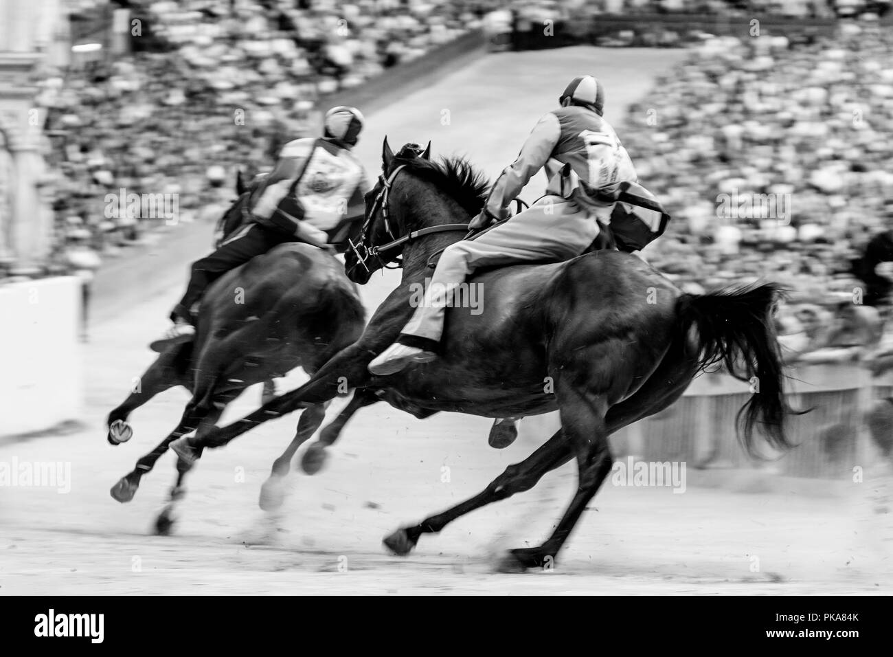 Jockeys équitation pour leurs Contradas prendre part à une course d'essai dans la Piazza del Campo, le Palio di Siena, Sienne, Italie Banque D'Images