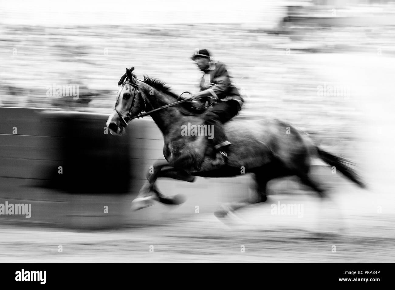 Un jockey à cheval pour l'Nicchio (Shell) via prend part à une course d'essai dans la Piazza del Campo, le Palio di Siena, Sienne, Italie Banque D'Images