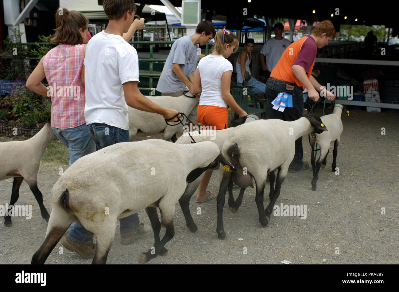 La foire du comté de Clarke met en lumière l'élevage expositions, expositions d'entretien, carnaval des manèges et de nombreux divertissements, tels que les derbys de démolition, bul Banque D'Images