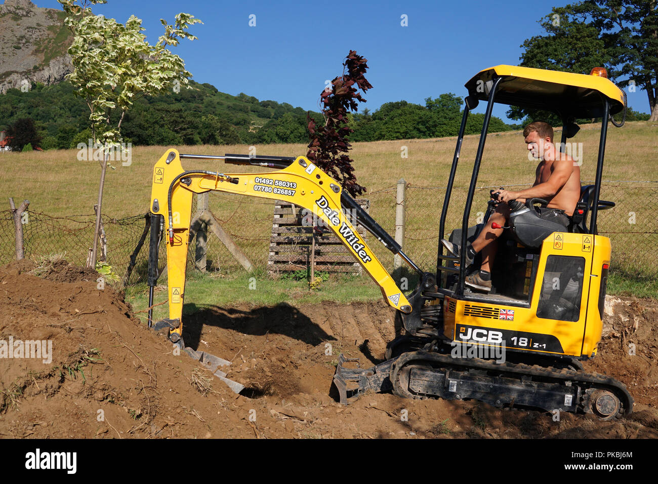 JCB Z-1 Mini digger, qui se moquent de l'excavation. Image prise en juillet 2018. Banque D'Images