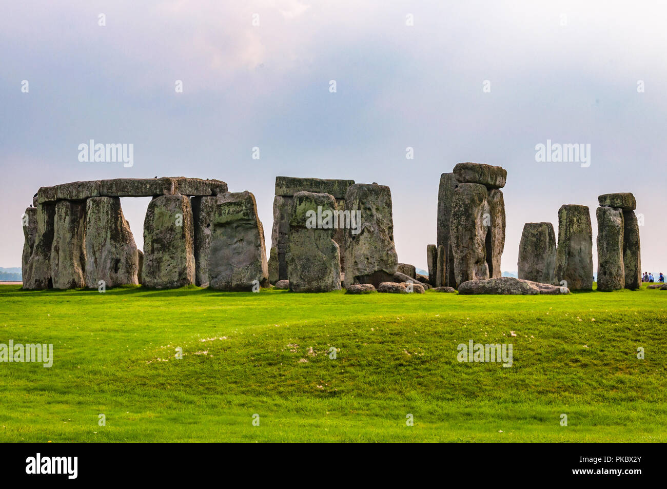 L'ensemble de Stonehenge avec de l'herbe verte verdoyant dans le Wiltshire, England, UK Banque D'Images
