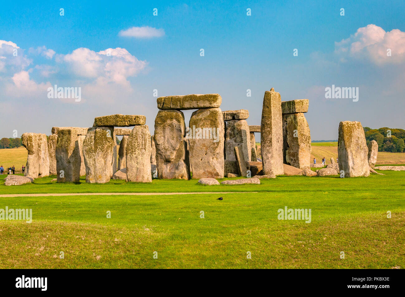 L'ensemble de Stonehenge avec de l'herbe verte verdoyante, avec du soleil dans le Wiltshire, England, UK Banque D'Images