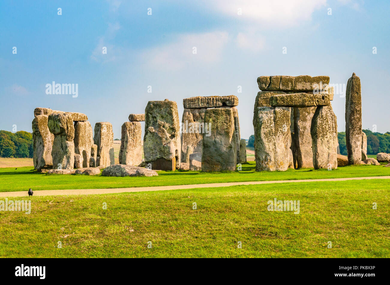 L'ensemble de Stonehenge avec de l'herbe verte verte à côté d'un chemin, avec du soleil dans le Wiltshire, England, UK Banque D'Images