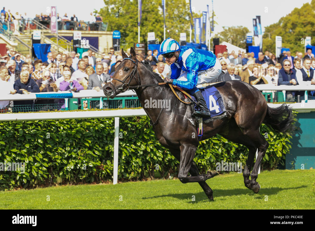 Doncaster, Royaume-Uni. 12 septembre 2018, l'Hippodrome de Doncaster, Doncaster, Angleterre ; Festival St Léger - le DC des Services de formation et de perfectionnement Leger Legends jour, 13,50 British Stallion clous Conditions EBF Stakes (Plus 10) ; Khaadem Rode par Jim Crowley remporte Crédit : News Images /Alamy Live News Banque D'Images