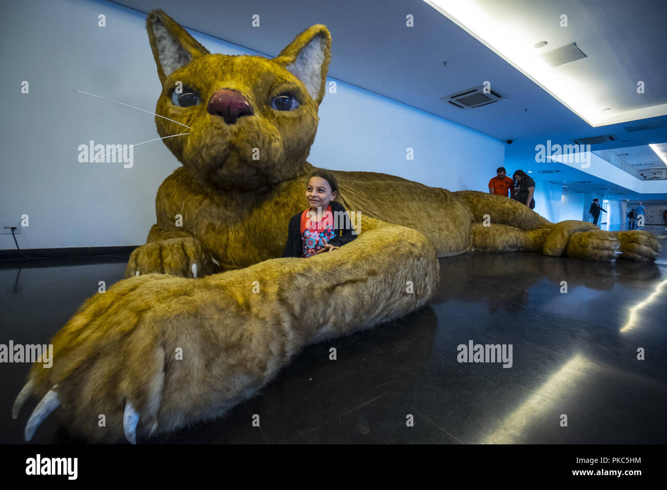 12 Septembre 18 Sa O Paulo Sa O Paulo Bresil Sao Paulo Sp Sp 12 09 18 Le Plus Grand Chat De Sao Paulo Le Plus Grand Chat De Sa O Paulo Est Vu