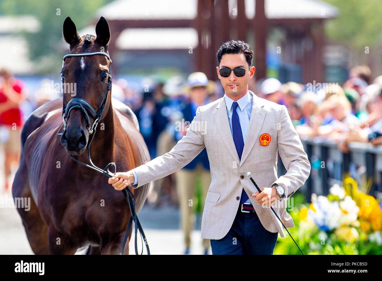 Tryon, North Carolina, USA. 12Th Sep 2018. Alex Hua Tian et Ballytiglea Vivendi. CHN.Le concours complet. L'équipe et de la personne l'Inspection avant le dressage. Jour 2. Les Jeux équestres mondiaux. WEG 2018 Tryon. La Caroline du Nord. USA. 12/09/2018. Credit : Sport en images/Alamy Live News Banque D'Images