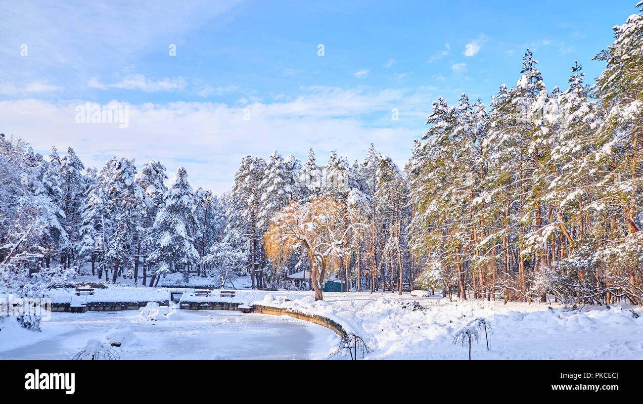 Winter Park avec lac gelé et les arbres recroquevillés de neige. Coucher du soleil la lumière. Banque D'Images
