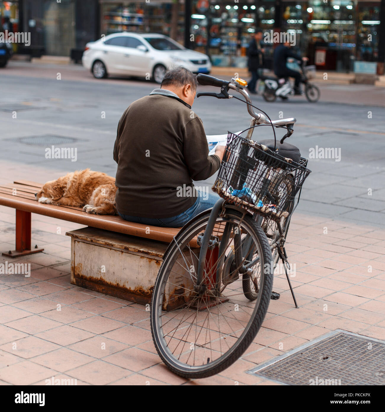 Homme avec un chien assis sur un banc et lire un journal. Banque D'Images