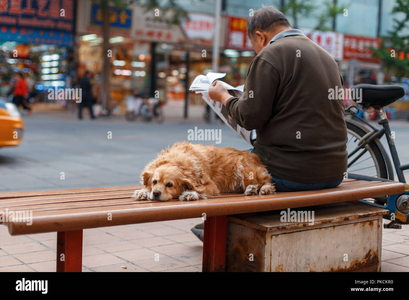 L'homme avec son meilleur ami est assis sur un banc et lire un journal dans la ville. Concept Banque D'Images