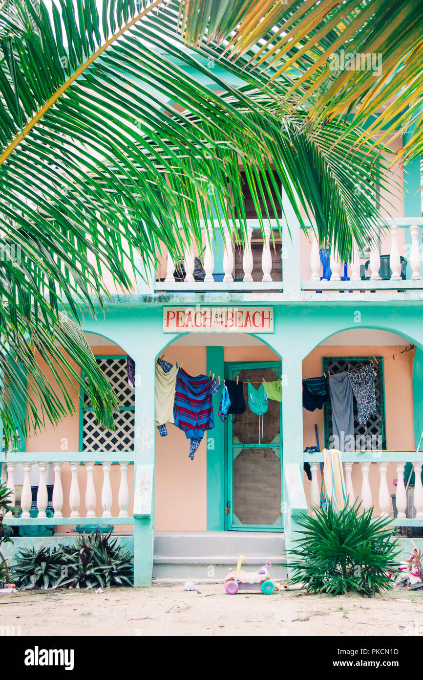 En bois tropical vert dans les Palmiers Beach House Banque D'Images