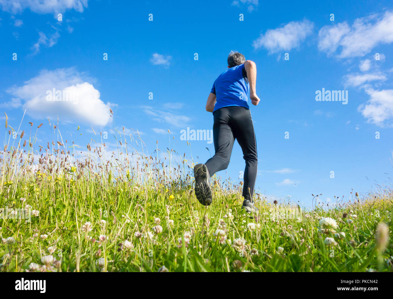 Low angle view of mature trail runner running uphill par wildflower meadow. UK Banque D'Images