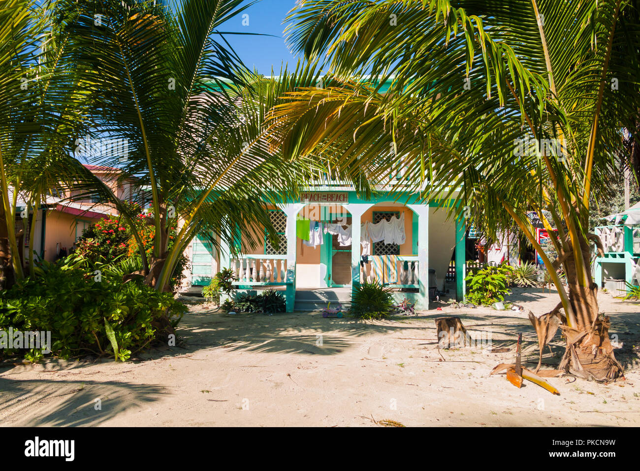 Maison de plage en bois vert dans les palmiers sur la Côte de Sable Banque D'Images