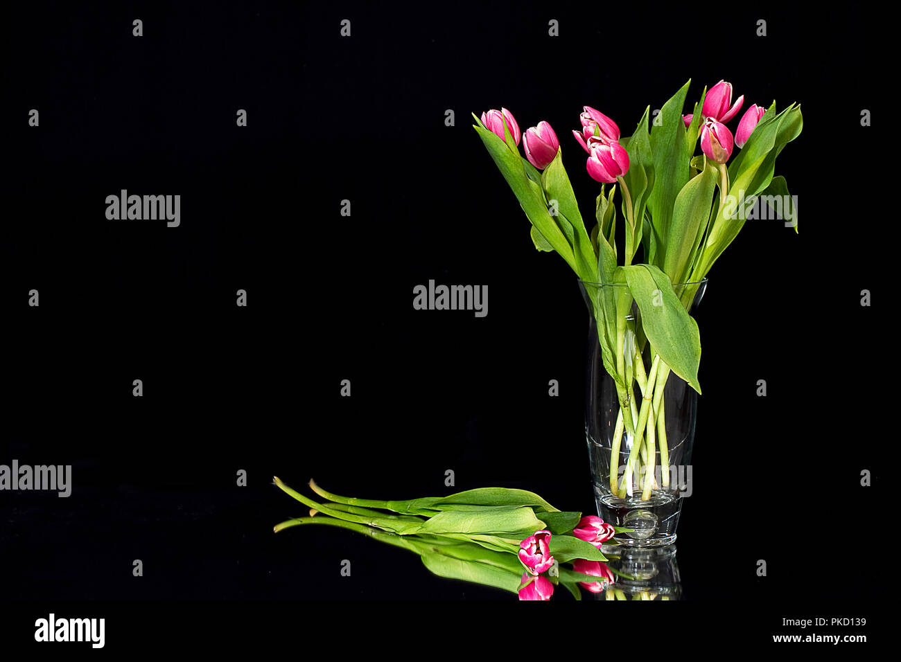 Grand vase de tulipes roses isolé sur blanc ou noir en arrière-plan. Banque D'Images