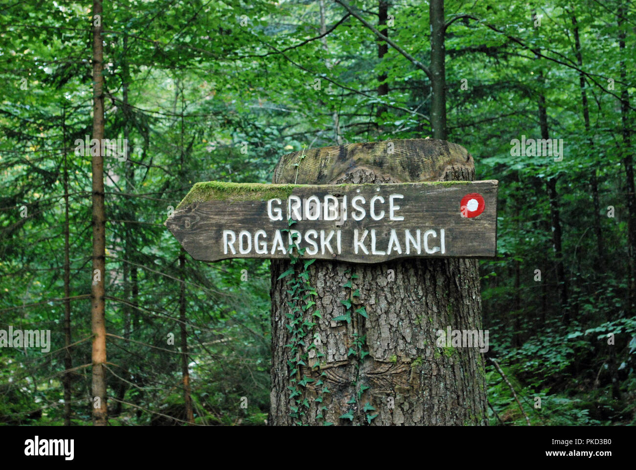 Un panneau indiquant le chemin de charnier à Rogarski en Klanci Kočevski Rog. Banque D'Images