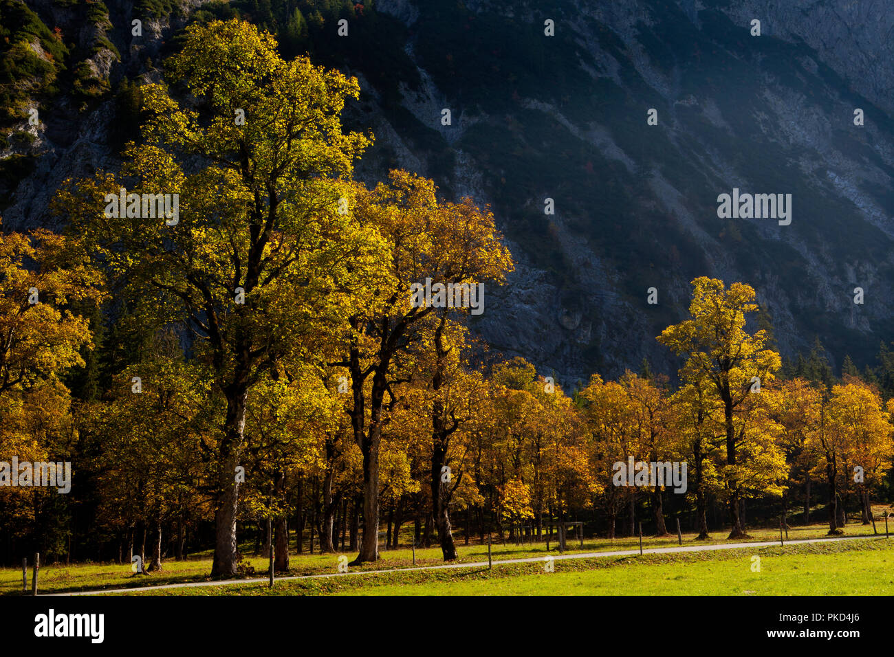 Dans Herbstfarben der Eng, ein Karwendeltal Banque D'Images
