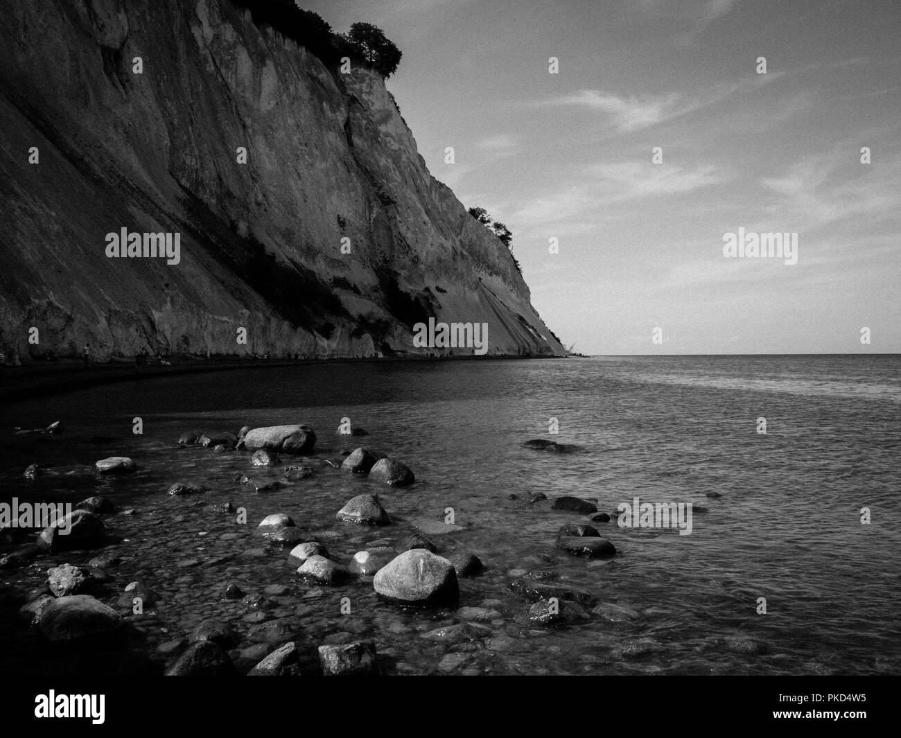 Paysage noir et blanc, Møns Klint, célèbres falaises de craie, Île de Mons, Danemark, Europe. Banque D'Images