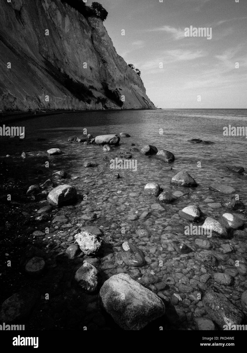 Paysage noir et blanc, Møns Klint, célèbres falaises de craie, Île de Mons, Danemark, Europe. Banque D'Images