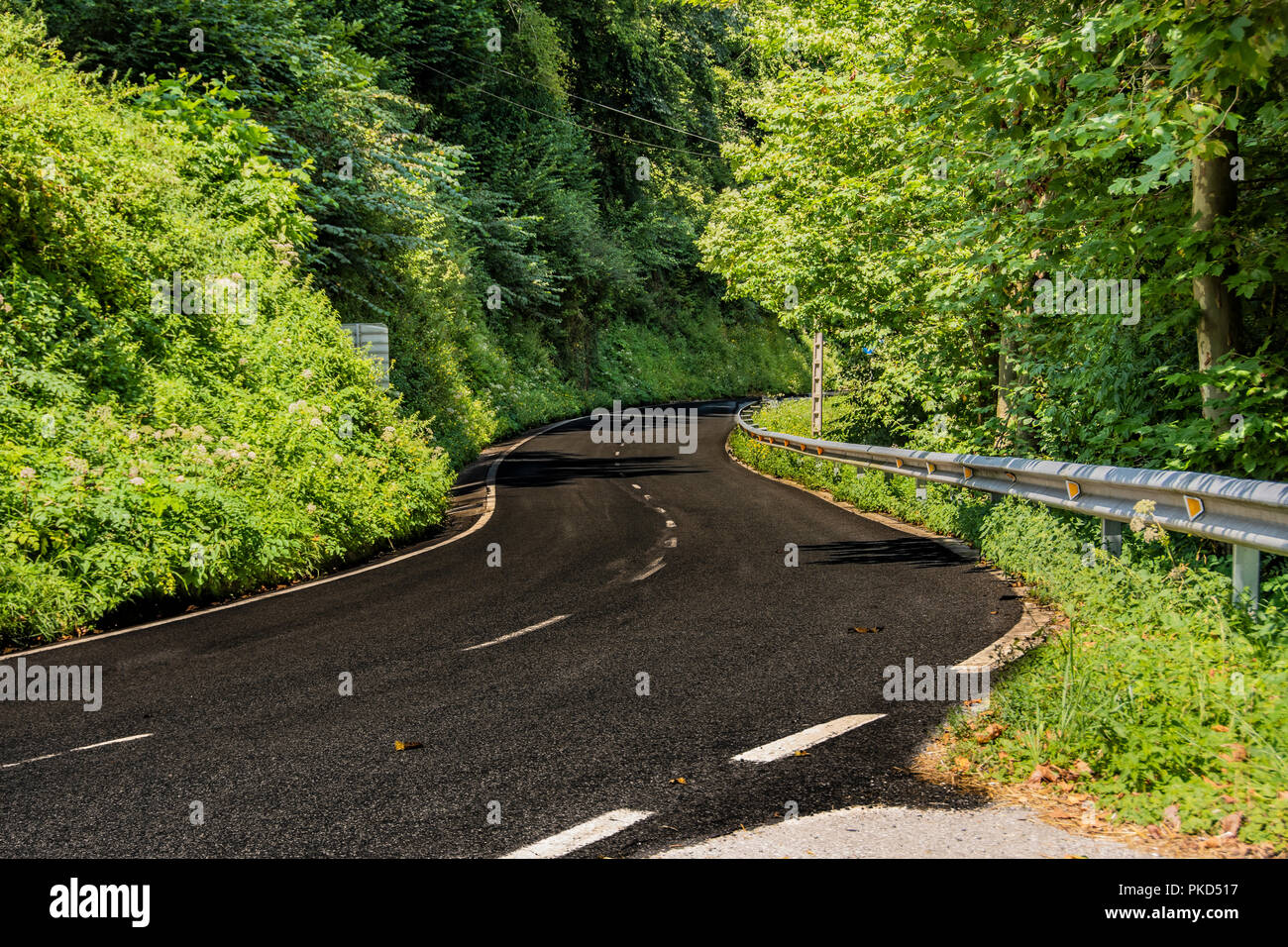 Route de la chaîne des Pyrénées franco-espagnole à proximité de la Collégiale de Roncevaux. Navarre, Espagne. Banque D'Images