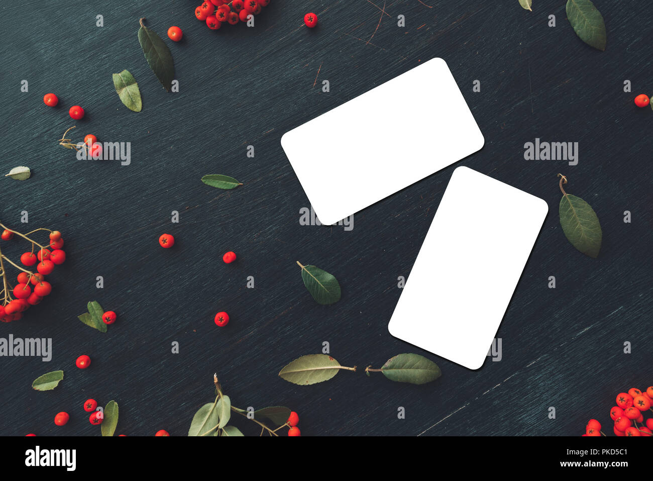 Carte de mise à plat avec des coins arrondis mock up copie espace Vue de dessus sur fond sombre décoré de petits fruits sauvages arrangement Banque D'Images