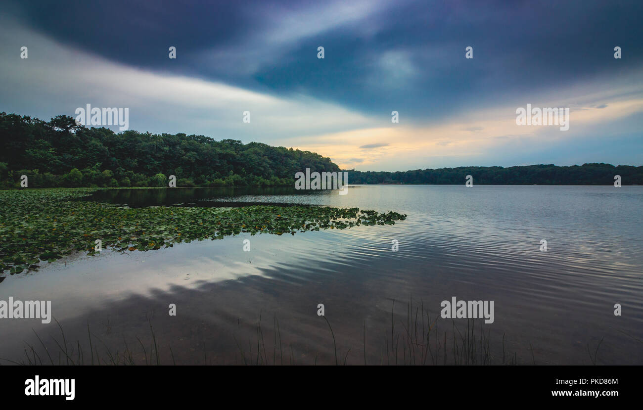 Ciel dramatique après une tempête de pluie sur la belle lily-pad vert couverts Stone Lake un soir d'été, LaPorte, Indiana Banque D'Images