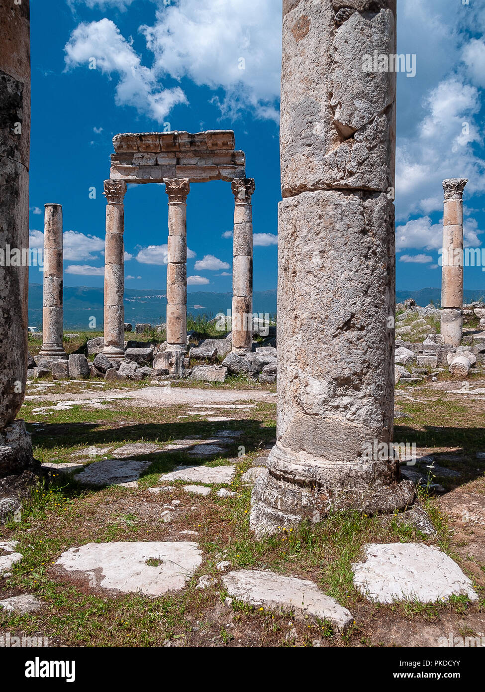 Apamée (également connu sous le nom), l'Afamia grec ancien et ville romaine. Le site est situé près de Qalaat al-Madiq, environ 60 km au nord-ouest de Hama, en Syrie Banque D'Images