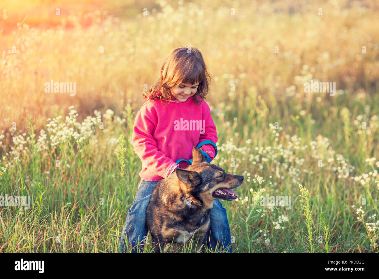 Happy little girl avec son chien jouant dans la prairie à l'automne Banque D'Images