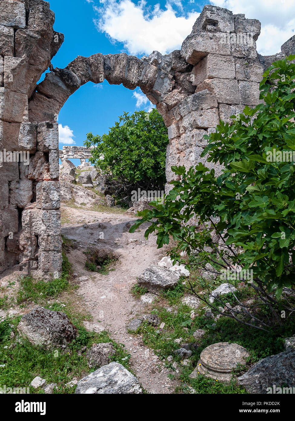 Apamée (également connu sous le nom), l'Afamia grec ancien et ville romaine. Le site est situé près de Qalaat al-Madiq, environ 60 km au nord-ouest de Hama, en Syrie Banque D'Images